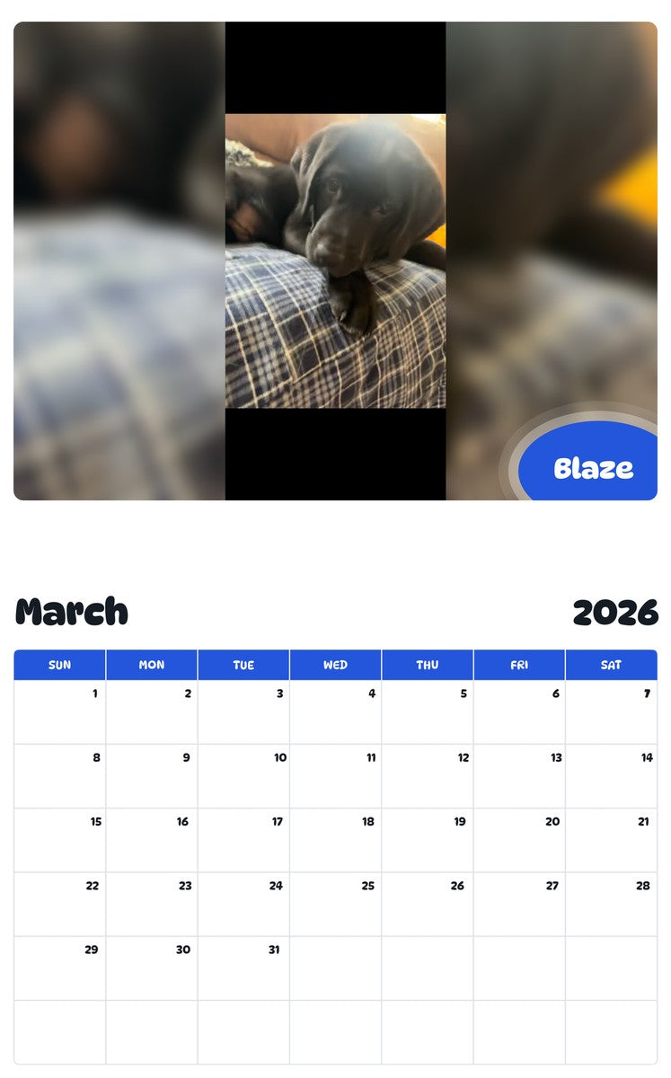 November 2025 - October 2026 Blaze - Pawidols Pet Calendar