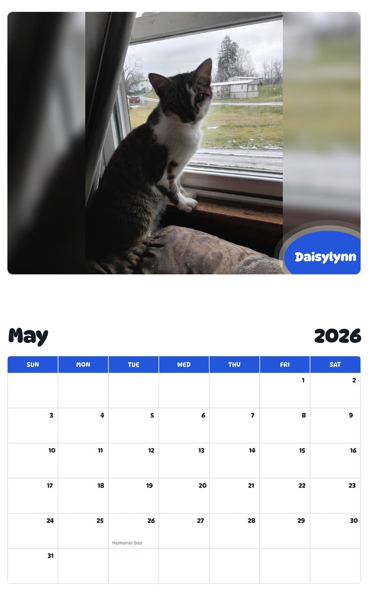 2026 - 2027 Daisylynn - Pawidols Pet Calendar