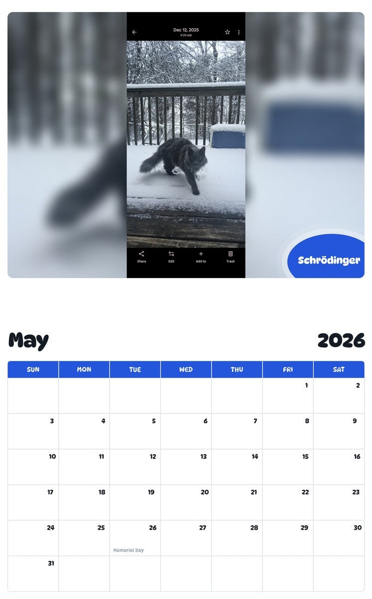 2026 - 2027 Schrödinger - Pawidols Pet Calendar