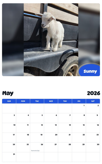 2026 - 2027 Sunny - Pawidols Pet Calendar