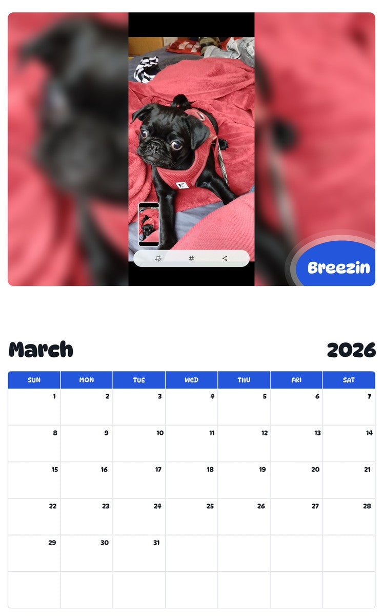 November 2025 - October 2026 Breezin - Pawidols Pet Calendar
