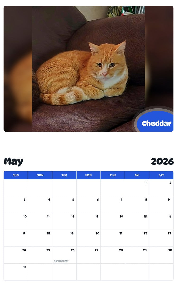 2026 - 2027 Cheddar - Pawidols Pet Calendar