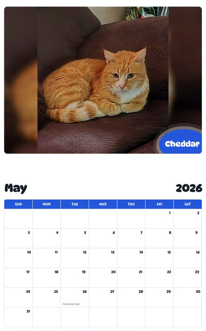 2026 - 2027 Cheddar - Pawidols Pet Calendar