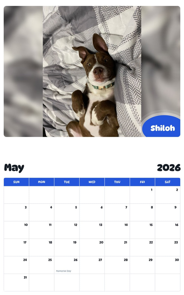 2026 - 2027 Shiloh - Pawidols Pet Calendar