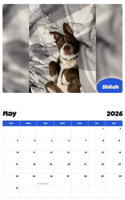 2026 - 2027 Shiloh - Pawidols Pet Calendar
