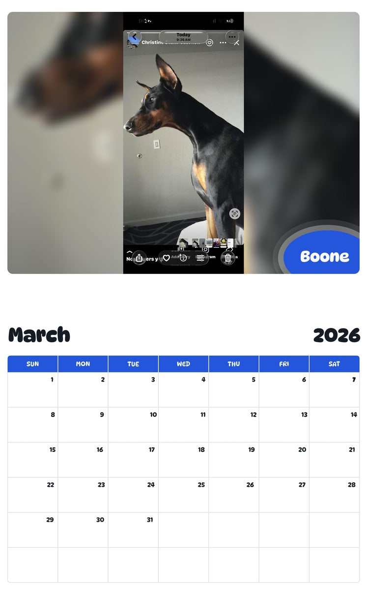 November 2025 - October 2026 Boone - Pawidols Pet Calendar