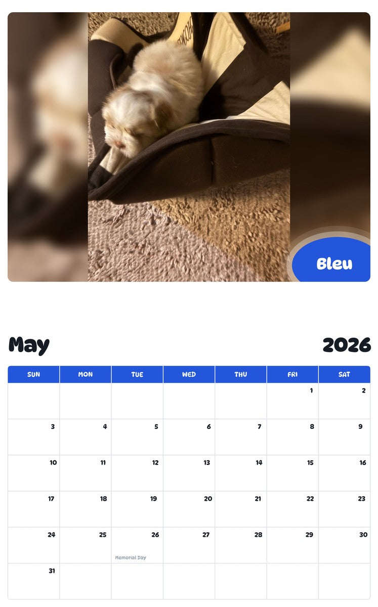 2026 - 2027 Bleu - Pawidols Pet Calendar