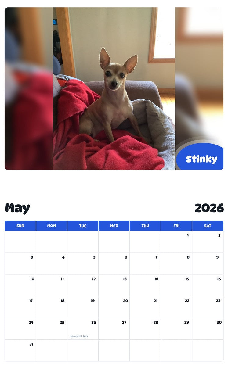 2026 - 2027 Stinky - Pawidols Pet Calendar
