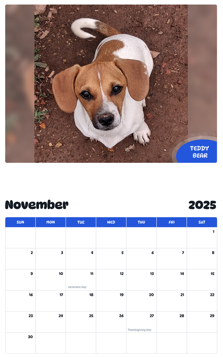 July 2025 - June 2026 Teddy bear - Pawidols Pet Calendar
