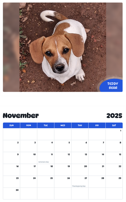 July 2025 - June 2026 Teddy bear - Pawidols Pet Calendar