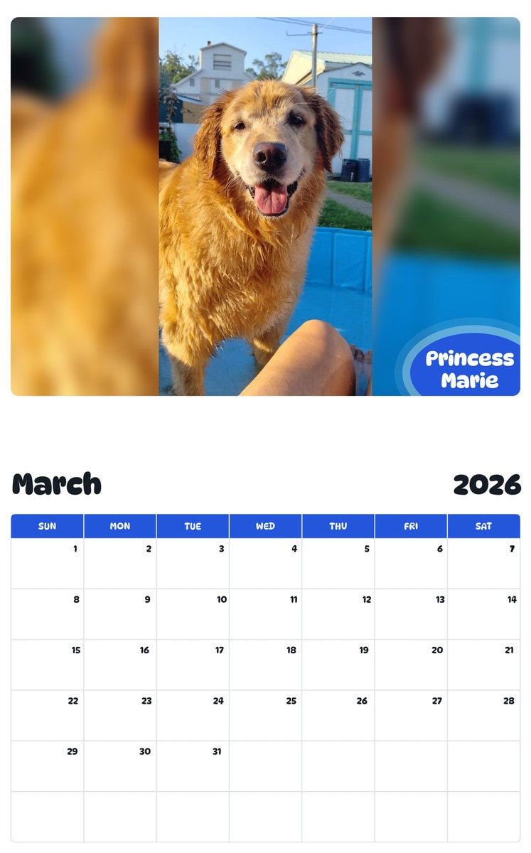 November 2025 - October 2026 Princess Marie - Pawidols Pet Calendar