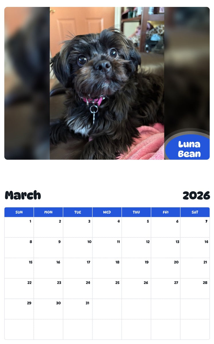 November 2025 - October 2026 Luna Bean - Pawidols Pet Calendar