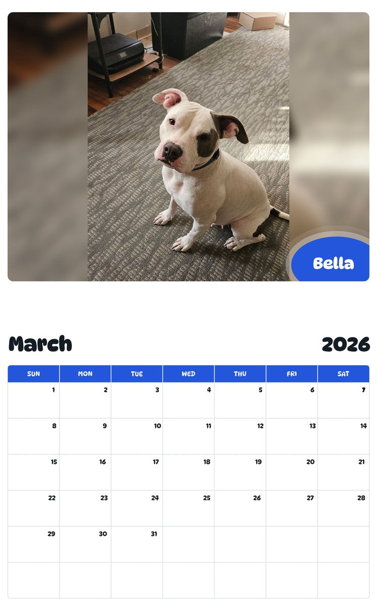 November 2025 - October 2026 Bella - Pawidols Pet Calendar