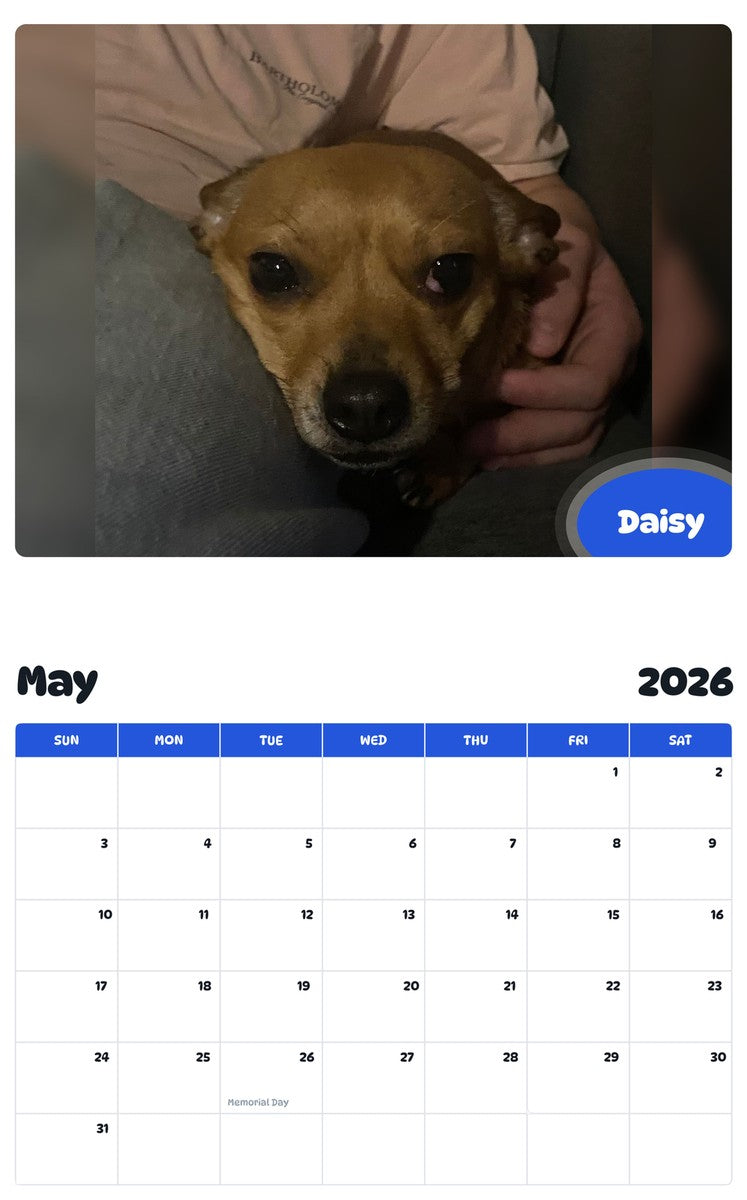 2026 - 2027 Daisy - Pawidols Pet Calendar
