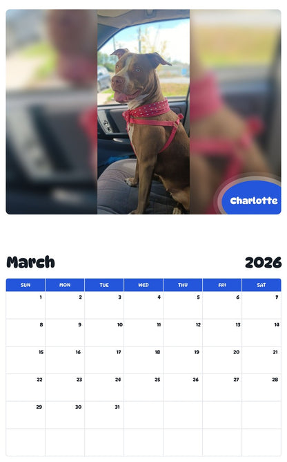 November 2025 - October 2026 Charlotte - Pawidols Pet Calendar