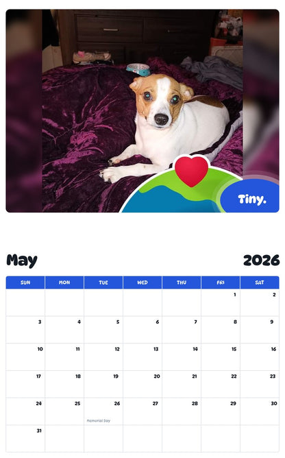 2026 - 2027 Tiny. - Pawidols Pet Calendar