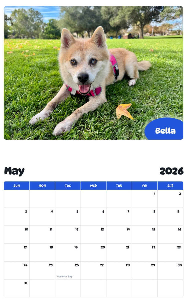 2026 - 2027 Bella - Pawidols Pet Calendar