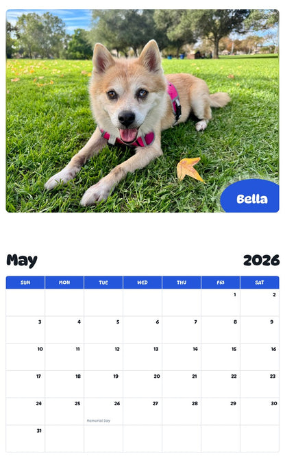 2026 - 2027 Bella - Pawidols Pet Calendar