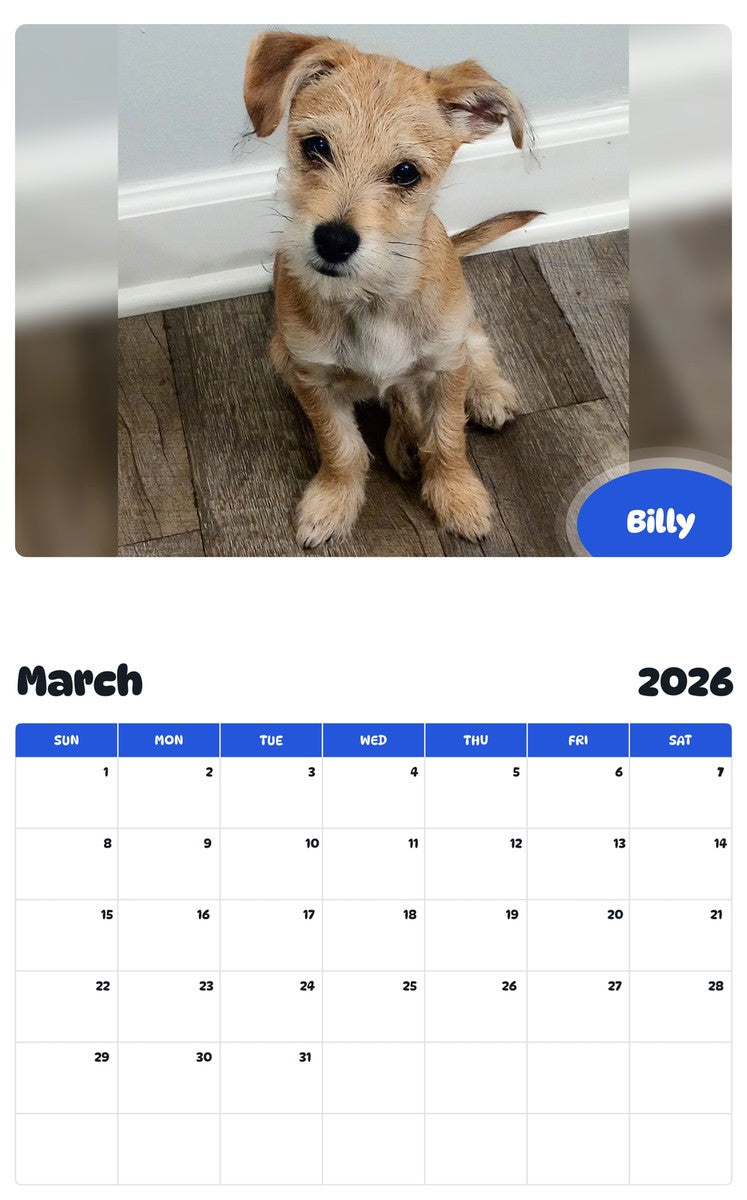 November 2025 - October 2026 Billy - Pawidols Pet Calendar
