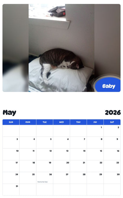 2026 - 2027 Baby - Pawidols Pet Calendar