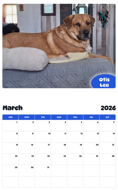 November 2025 - October 2026 Otis Lee - Pawidols Pet Calendar