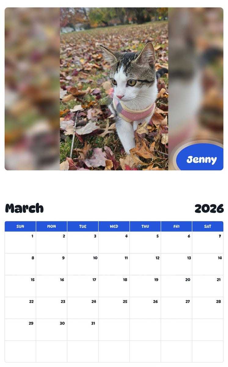 November 2025 - October 2026 Jenny - Pawidols Pet Calendar