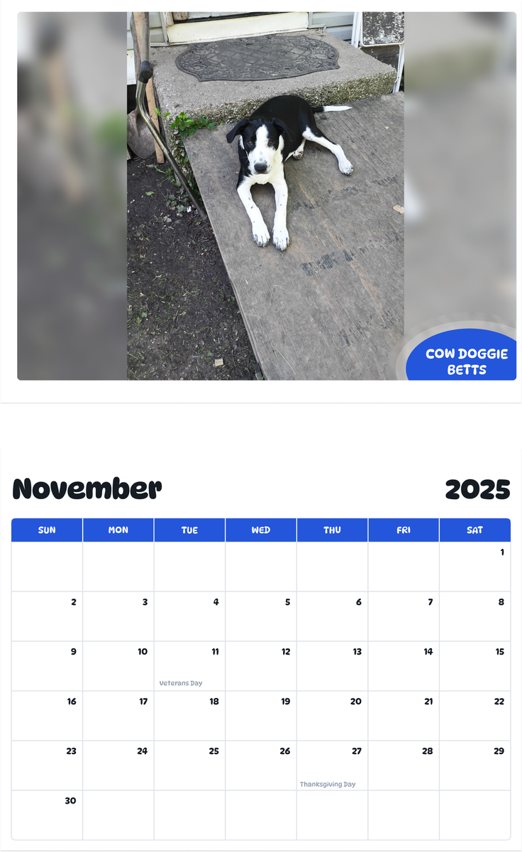 July 2025 - June 2026 Cow Doggie Betts - Pawidols Pet Calendar