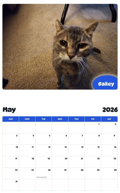 2026 - 2027 Bailey - Pawidols Pet Calendar