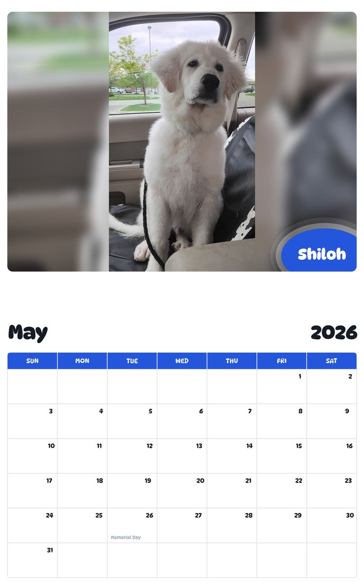 2026 - 2027 Shiloh - Pawidols Pet Calendar