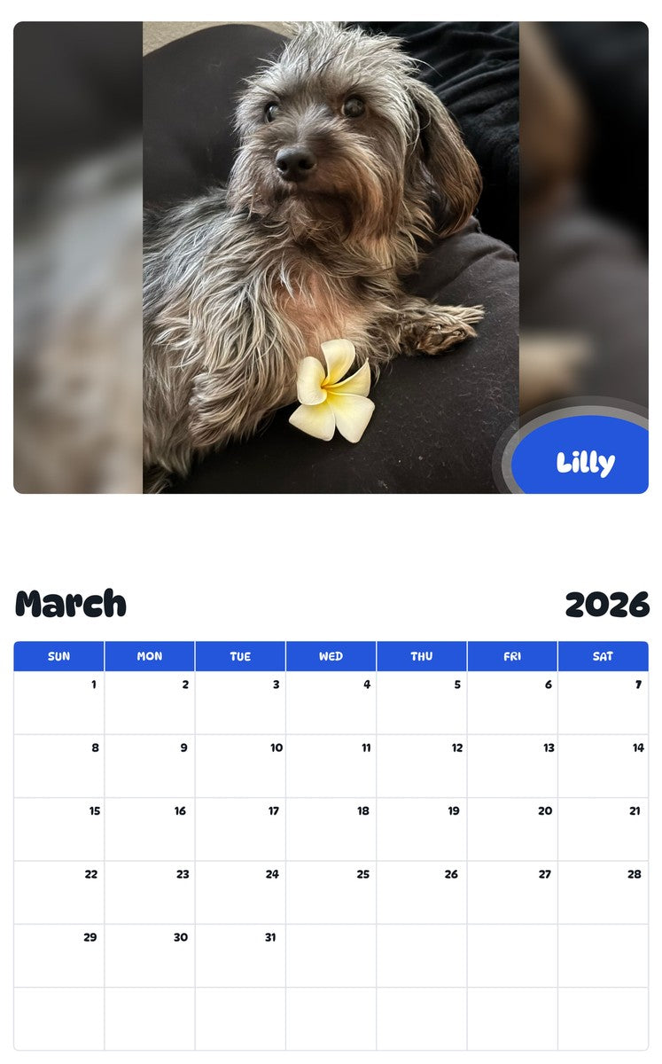 November 2025 - October 2026 Lilly - Pawidols Pet Calendar