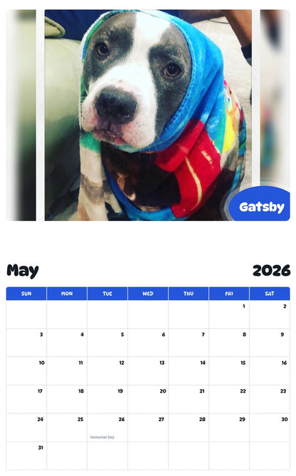 2026 - 2027 Gatsby - Pawidols Pet Calendar