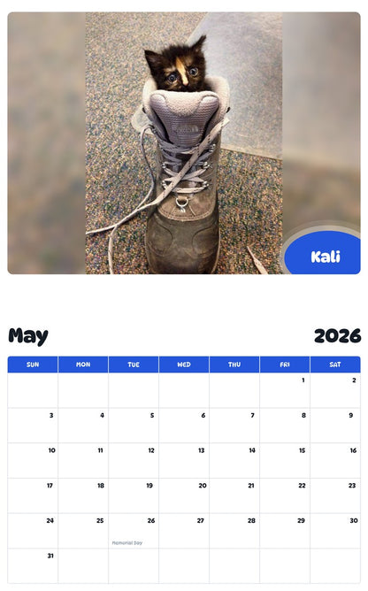 2026 - 2027 Kali - Pawidols Pet Calendar
