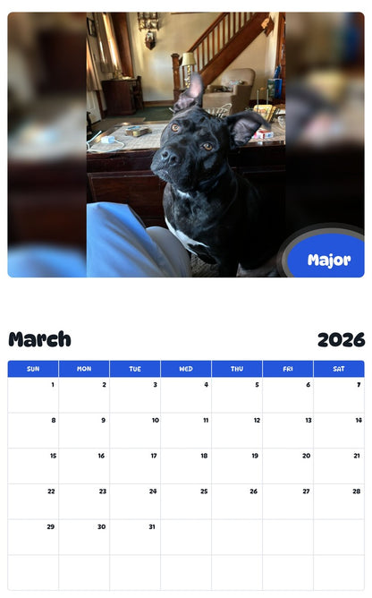 November 2025 - October 2026 Major - Pawidols Pet Calendar