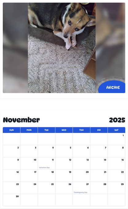 July 2025 - June 2026 Archie - Pawidols Pet Calendar