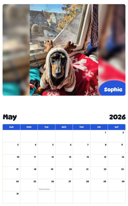 2026 - 2027 Sophie - Pawidols Pet Calendar
