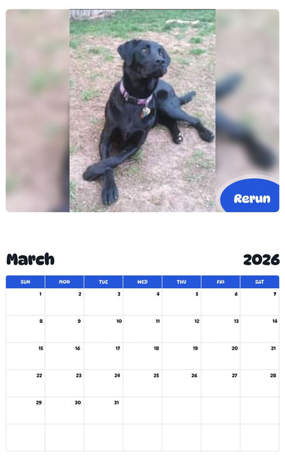 November 2025 - October 2026 Rerun - Pawidols Pet Calendar