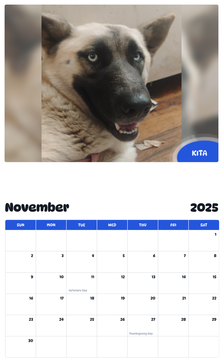 July 2025 - June 2026 Kita - Pawidols Pet Calendar