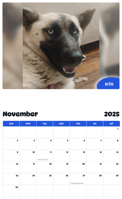 July 2025 - June 2026 Kita - Pawidols Pet Calendar
