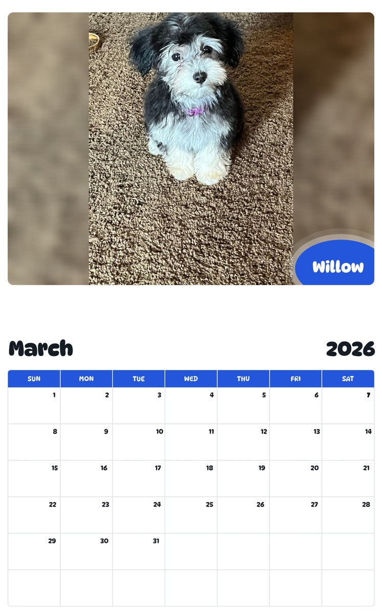November 2025 - October 2026 Willow - Pawidols Pet Calendar