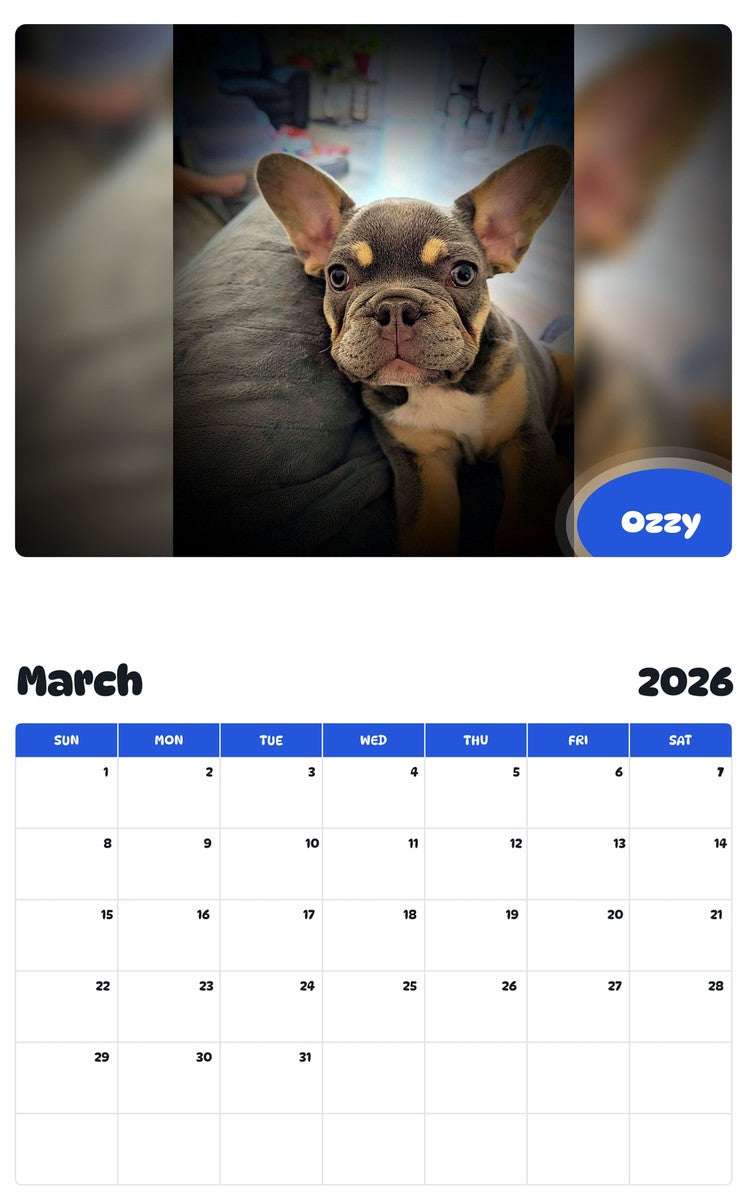 November 2025 - October 2026 Ozzy - Pawidols Pet Calendar