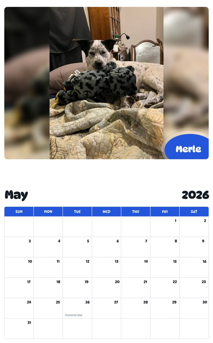 2026 - 2027 Merle - Pawidols Pet Calendar