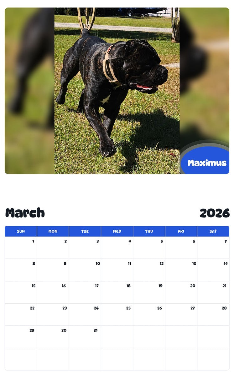 November 2025 - October 2026 Maximus - Pawidols Pet Calendar