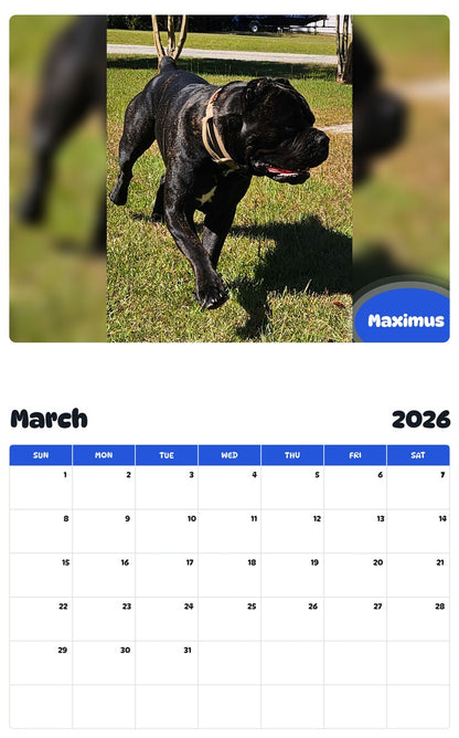 November 2025 - October 2026 Maximus - Pawidols Pet Calendar
