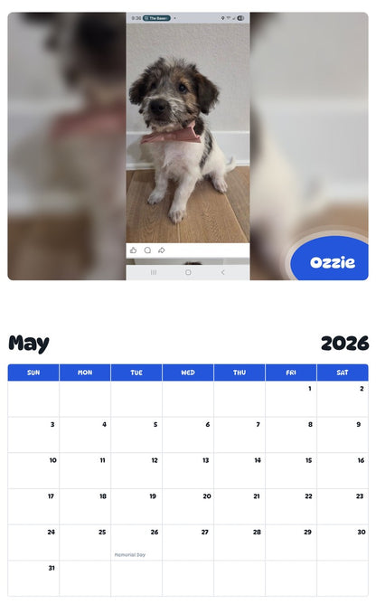 2026 - 2027 Ozzie - Pawidols Pet Calendar