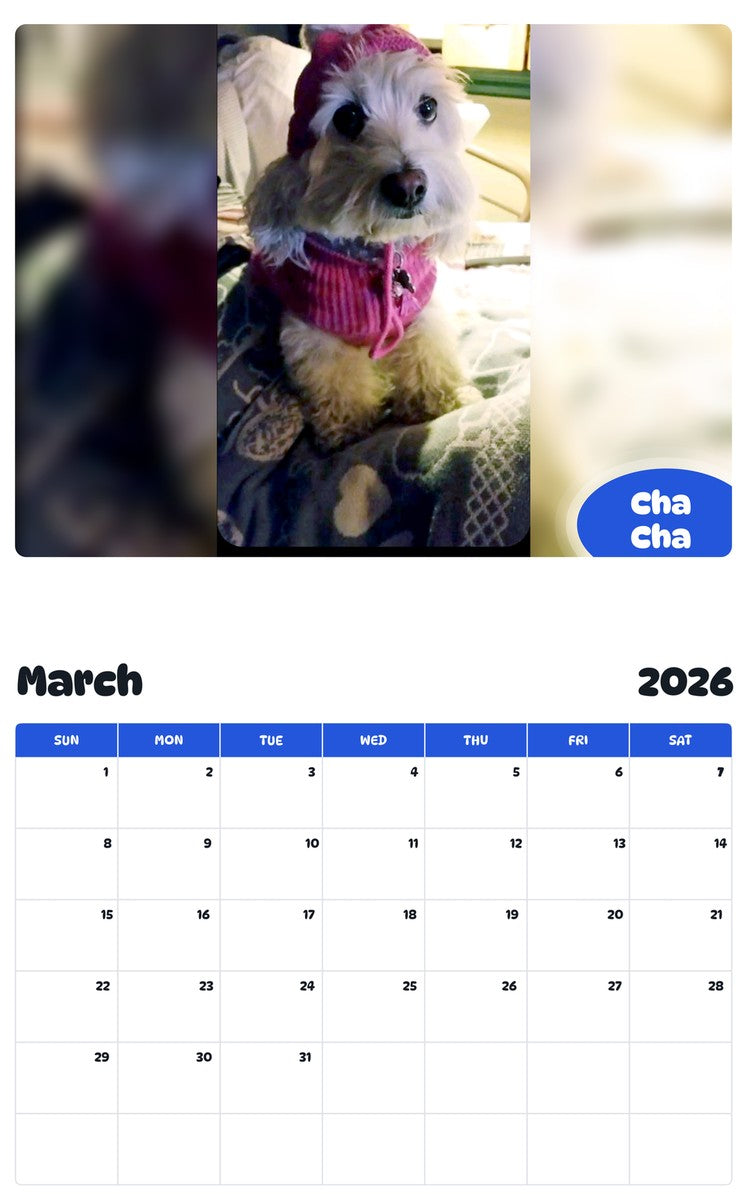 November 2025 - October 2026 Cha Cha - Pawidols Pet Calendar