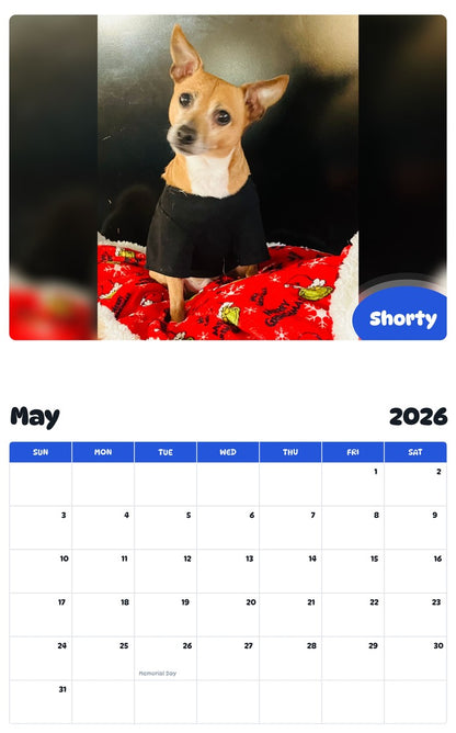 2026 - 2027 Shorty - Pawidols Pet Calendar