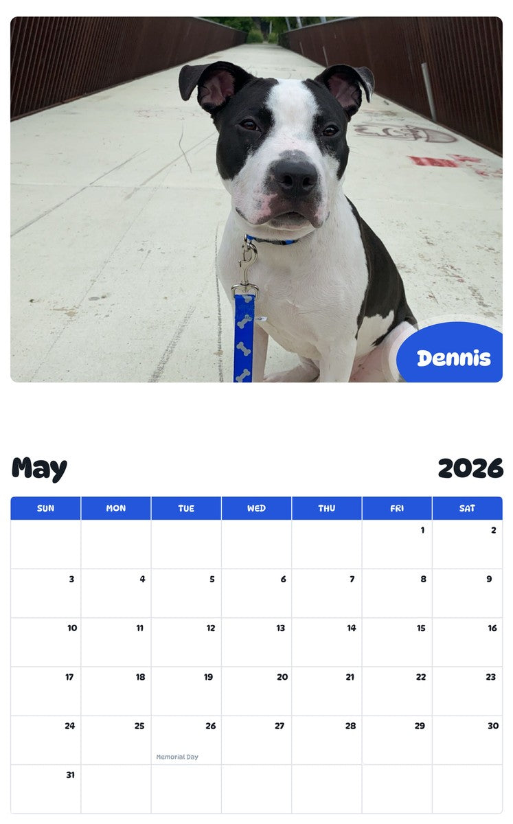 2026 - 2027 Dennis - Pawidols Pet Calendar