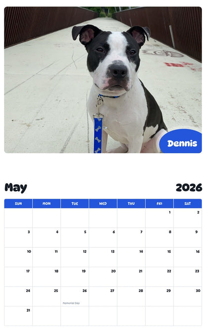 2026 - 2027 Dennis - Pawidols Pet Calendar