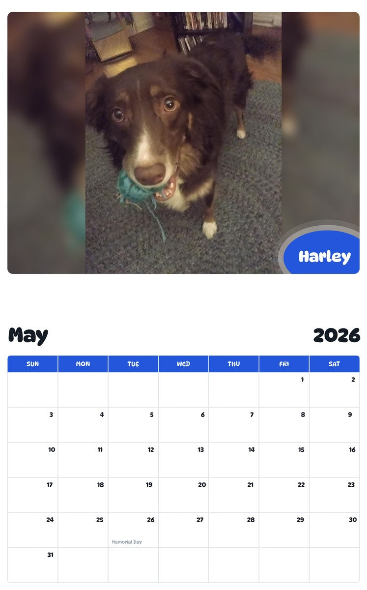 2026 - 2027 Harley - Pawidols Pet Calendar
