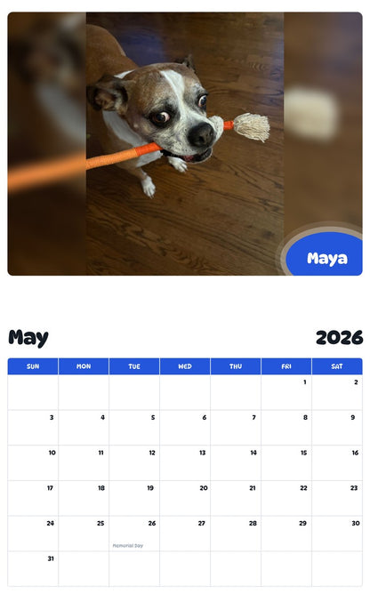 2026 - 2027 Maya - Pawidols Pet Calendar